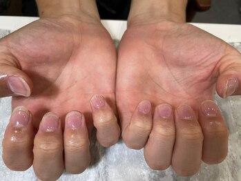 メイヴン(Maven)/