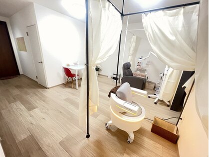 サニーレイ(Sunny Ray)の写真