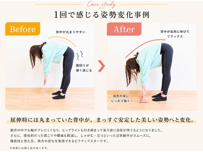 レグリス(Reglisse)の写真