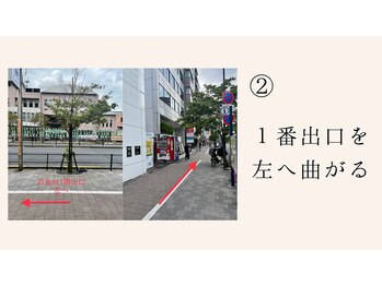 コロニラ(coronille)/道案内2