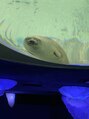 RBL 梅田店&nbsp;水族館で生き物を眺めてると落ち着きます♪