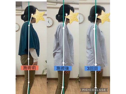 ニコ(niko)の写真