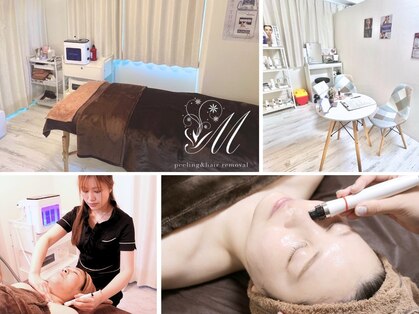 マオ(mao)の写真