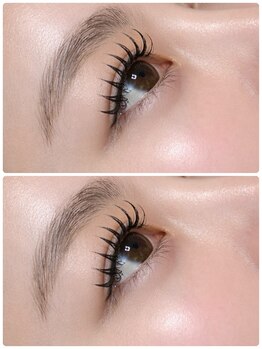 ランド(R&)/ダブルフラットラッシュ140束