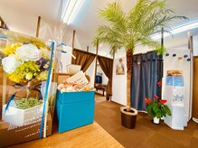 ボディロミロミ(BODY LomiLomi)/お店の真ん中にはシンボルツリー