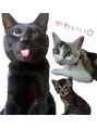 オンディーヌ 名古屋&nbsp;我が家の猫ちゃん達！個性豊かです♪