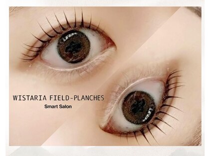 ウィスタリア フィールドプランシュ(WISTARIA FIELD-PLANCHES)の写真
