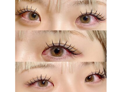 シュナ(SCHNA)の写真