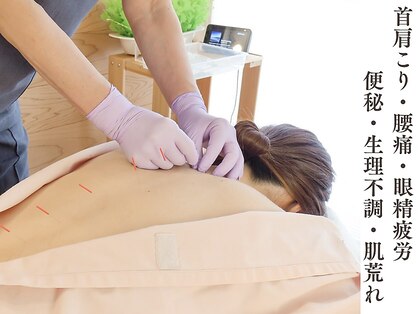 トーリ 代官山(taulli)の写真