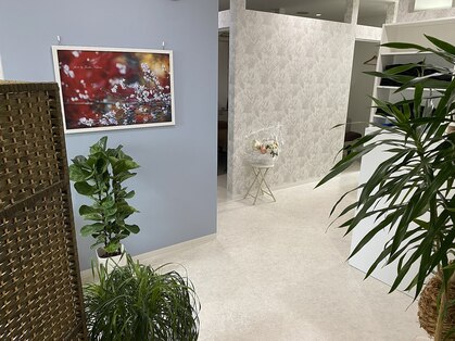 N3の写真