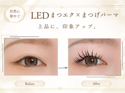 ホワイト(WHITE)の写真