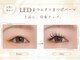 ホワイト(WHITE)の写真