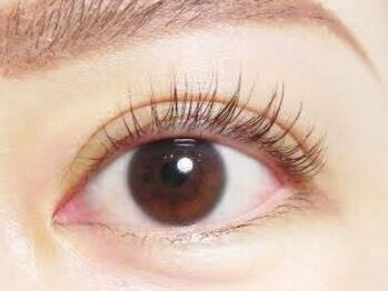 ローズマリー(RoseMarry)の写真/まつ毛を元気にしたい方必見♪町田希少!!美容液パ-マで同時にケアも可能に!ハリコシある健康まつ毛に変身☆