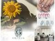 エアフォルク 銀座(ERFOLG)の写真