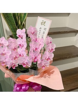 ビコツアコ(美骨Aco)/感謝！1周年！