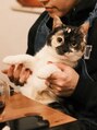 アブニール 大山台店(AVENIR)&nbsp;NO にゃんこNO LIFE☆みけねこのこまちと暮らしています。