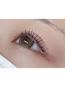 初めての方にオススメ