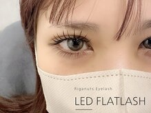 リガナッツ(Riganuts)