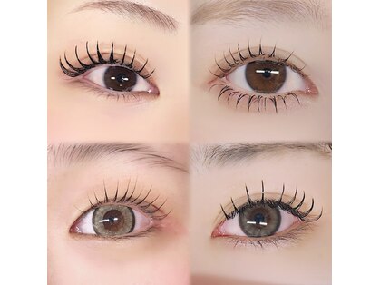 ベルダ(BELDAD)の写真