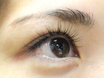 ディシェーレ アスト(die-Schere Ast)/最高級セーブル120本