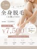 7月限定お試し全身脱毛
