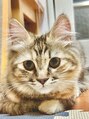 西宮かなで整体院 猫がたまらなく好きです。Youtubeチャンネルも立ち上げました!