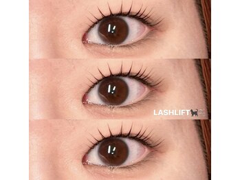 ステイゴールド(STAY GOLD)/まつげパーマ