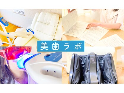 美歯ラボの写真