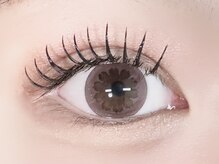 リブレ(Libre)/ダブルフラット80束(160本)