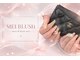 メイブラッシュ(MEI BLUSH)の写真