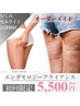 【迷ったらコレ！】エンダモロジーアライアンス★オーダーメイドボディ¥5,500