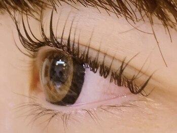 華みずきの写真/【今だけ22周年感謝祭価格♪まつげパーマ¥3,500】認定講師による信頼の技術でサロン迷子に終止符を。