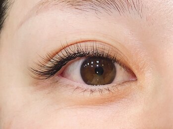 アルター エクラ(aL-ter e´clat)/アイラッシュ　180本