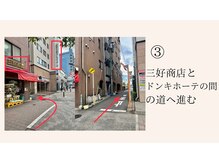 コロニラ(coronille)/道案内3