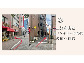 コロニラ(coronille)/道案内3