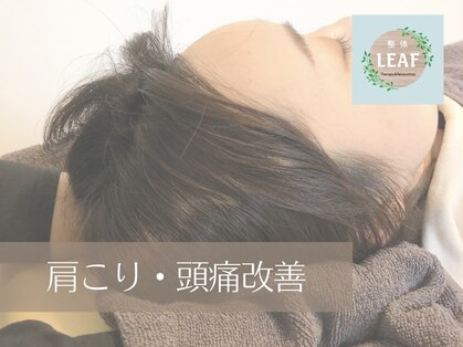 整体リーフ(LEAF)の写真