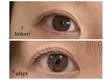 プリジュール(Pljoul)/上まつげパーマ