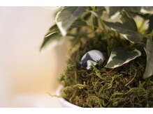 吉宗指圧治療院/化粧室　隠れ猫