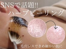 ルーツリー(Rootree)の雰囲気（毛穴レスな陶器肌を目指したいならハーブピーリング！）