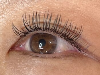 ウルカ アイラッシュ(uruka EYELASH)/フラットラッシュ 120本