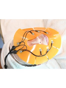 ハリツヤをUPしたい