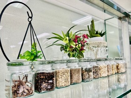 ヨサパーク リリー(YOSA PARK Lily)の写真