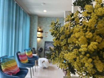 もんたわ鍼灸整骨院/【待合】