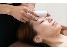 ラクーン(RACCOON)/