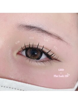 アテ(ate.)/フラットラッシュ120本