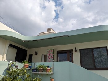 アルビジア(Albizia)