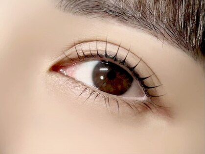 シェリー(cherie)の写真