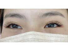 カメリア(Camellia)/フラットラッシュ120本