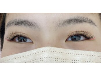 カメリア(Camellia)/フラットラッシュ120本