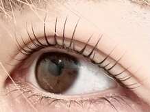 イデアル(ideal)/まつ毛パーマ